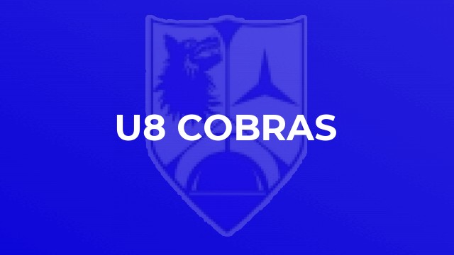 U8 Cobras