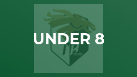 Under 8