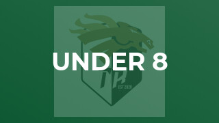 Under 8