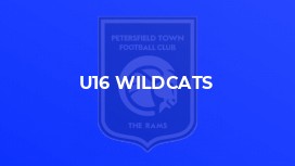 U16 Wildcats