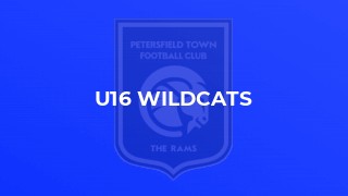 U16 Wildcats