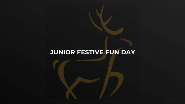 Junior Festive Fun Day