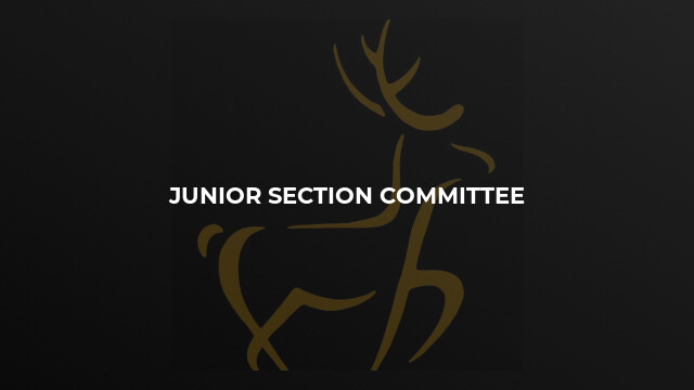 Junior Section Committee