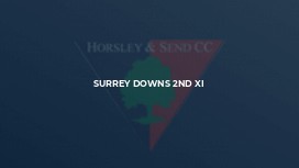 Surrey Downs 2nd XI