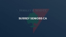 Surrey Seniors CA