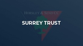 Surrey Trust