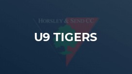 U9 Tigers