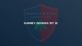 Surrey Downs 1st XI