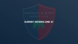 Surrey Downs 2nd XI