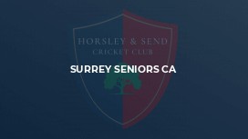 Surrey Seniors CA