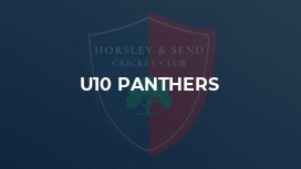 U10 Panthers