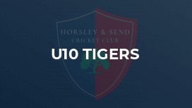 U10 Tigers