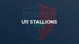 U11 Stallions