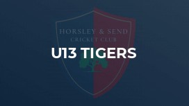 U13 Tigers