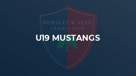 U19 Mustangs