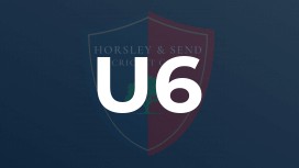 U6