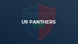 U9 Panthers