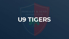 U9 Tigers