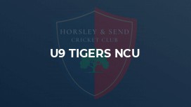 U9 Tigers NCU