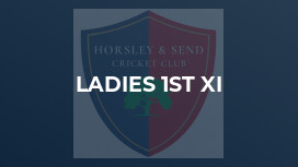 Ladies 1st XI