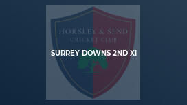 Surrey Downs 2nd XI