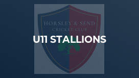U11 Stallions