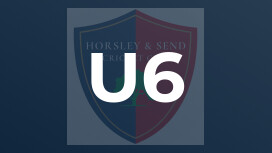 U6