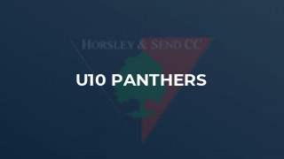U10 Panthers