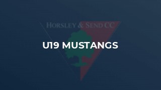 U19 Mustangs