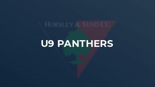 U9 Panthers