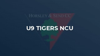 U9 Tigers NCU