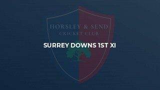 Surrey Downs 1st XI