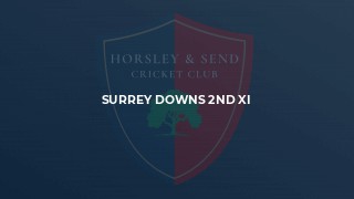 Surrey Downs 2nd XI