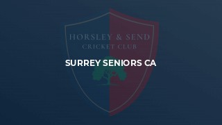 Surrey Seniors CA