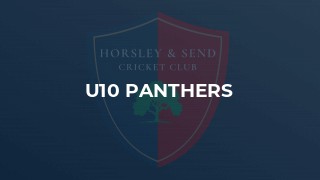 U10 Panthers