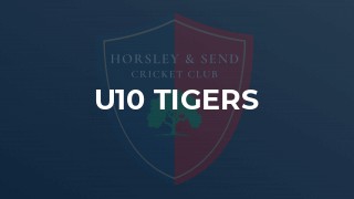 U10 Tigers