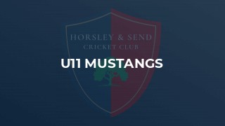 U11 Mustangs