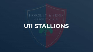 U11 Stallions