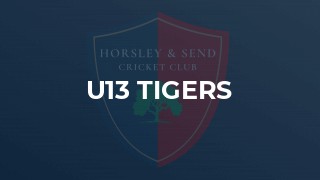 U13 Tigers