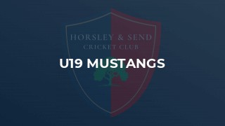 U19 Mustangs