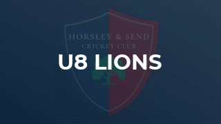 U8 Lions