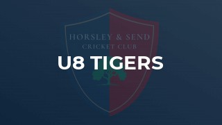 U8 Tigers