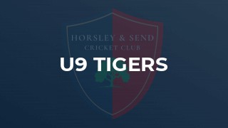 U9 Tigers