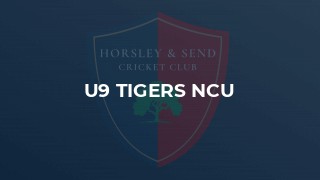 U9 Tigers NCU