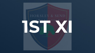 1st XI