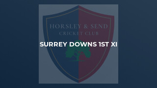Surrey Downs 1st XI