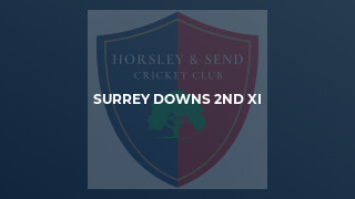 Surrey Downs 2nd XI
