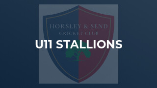 U11 Stallions