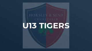 U13 Tigers