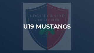 U19 Mustangs